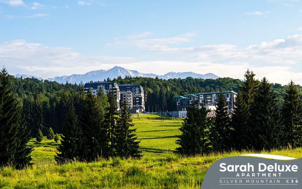 Sarah Deluxe Apartment in SILVER MOUNTAIN Poiana Brașov Exterior foto